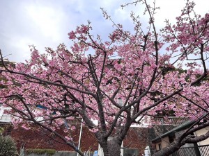 line_oa_chat_260213_163405