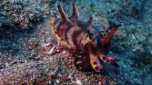 line_oa_chat_260220_193000