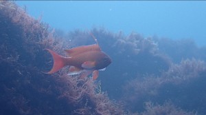 line_oa_chat_260220_193002