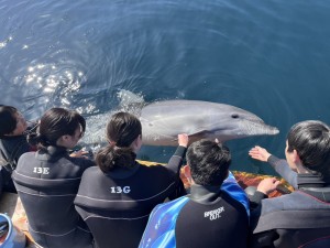 line_oa_chat_260221_185253