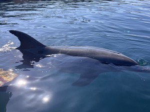 line_oa_chat_260221_185256