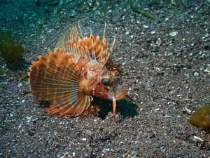 line_oa_chat_260222_174526