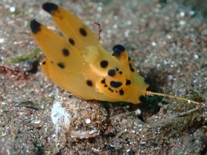 line_oa_chat_260222_174807