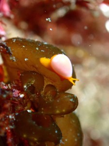 line_oa_chat_260228_1816