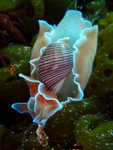 line_oa_chat_260228_181653