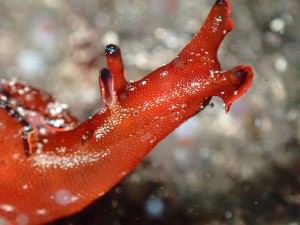 line_oa_chat_260228_181705