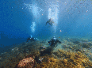 IMG_20260314_092758_004