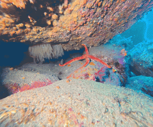 IMG_20260314_094311_019