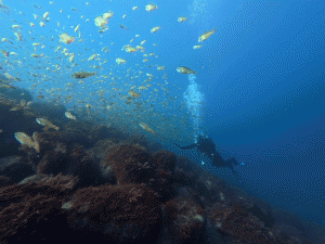 IMG_20260314_094549_028