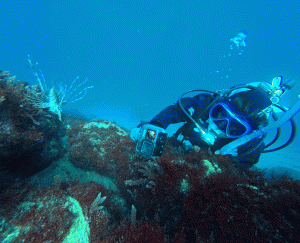 IMG_20260314_094810_036