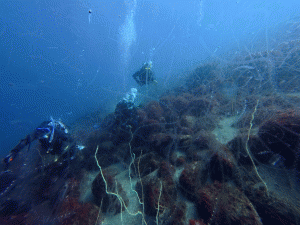 IMG_20260314_115232_050