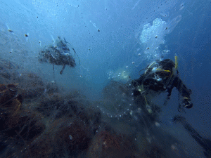 IMG_20260314_120035_067