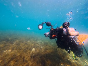 IMG_20260322_091352_025