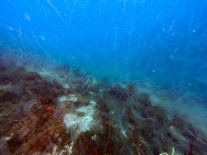 IMG_20260322_113131_032