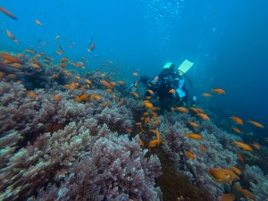 IMG_20260322_115830_048