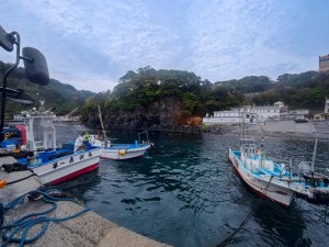 IMG_20260323_085516_052