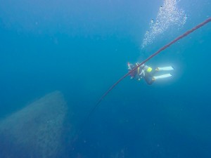 IMG_20260323_091320_056