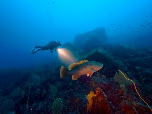 IMG_20260323_092403_065