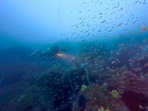 IMG_20260323_110831_078