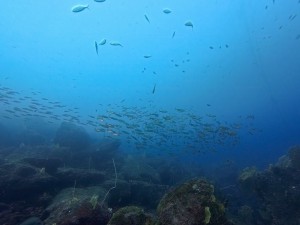 IMG_20260323_111308_080