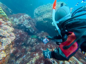 IMG_20260323_112840_093