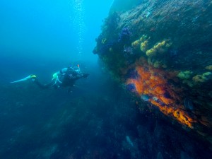 IMG_20260323_113242_094