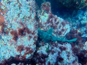 IMG_20260323_133218_094