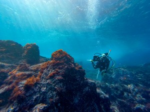 IMG_20260323_133500_101