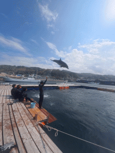 IMG_20260330_132735_068