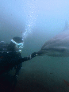 IMG_20260330_134122_098