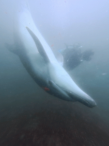 IMG_20260330_134559_115