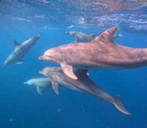 line_oa_chat_260305_184111