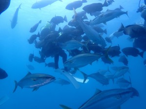 line_oa_chat_260315_203954