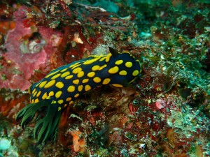 line_oa_chat_260321_191628