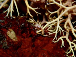 line_oa_chat_260328_190157