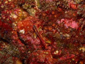 line_oa_chat_260328_190203