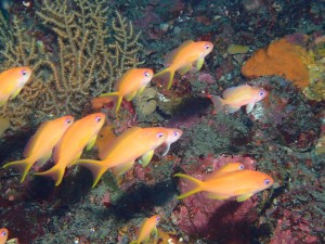 line_oa_chat_260328_190214