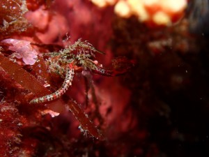 line_oa_chat_260328_190231