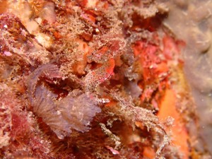 line_oa_chat_260328_190235