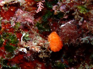 line_oa_chat_260328_190240