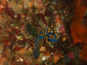 line_oa_chat_260330_192037