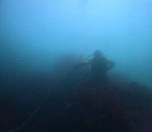 DCIM100GOPROGOPR8133.JPG