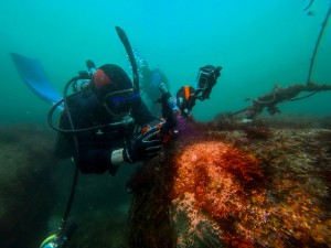 IMG_20260404_110227_009