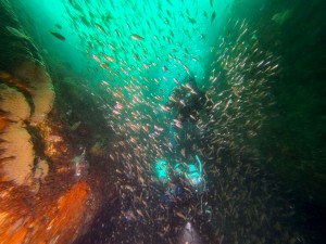 IMG_20260404_141852_050