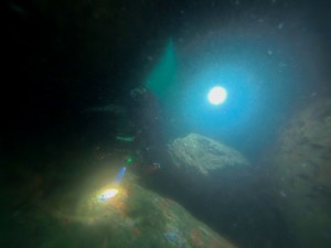 IMG_20260404_142159_053