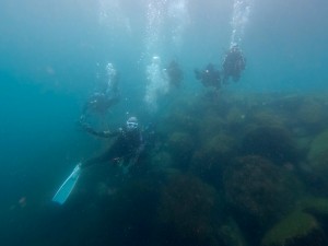 IMG_20260405_095227_067