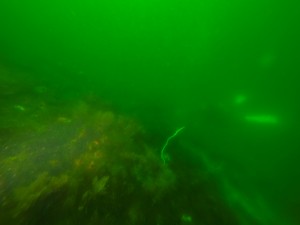 IMG_20260405_121225_075