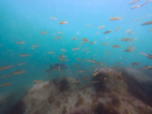 IMG_20260409_093822_004