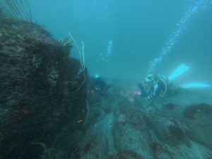 IMG_20260418_133209_007