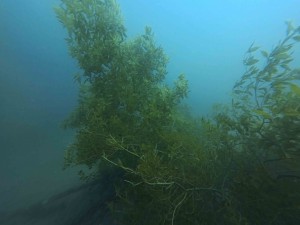 IMG_20260419_105820_005